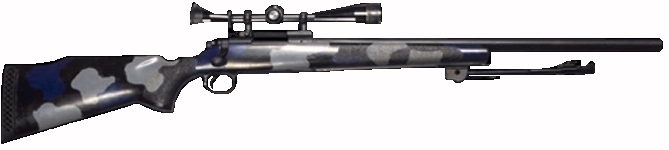 sniperifle.jpg (35750 bytes)